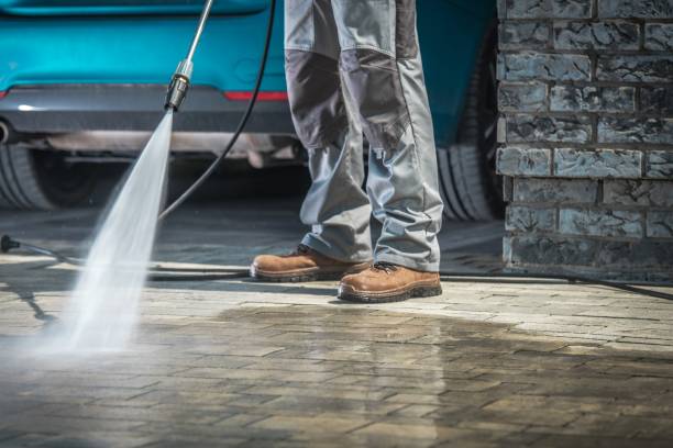 Best Driveway Pressure Washing  in Hlsboro, IL