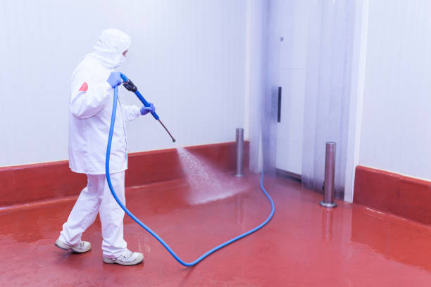 Best Fleet Vehicle Washing  in Hlsboro, IL