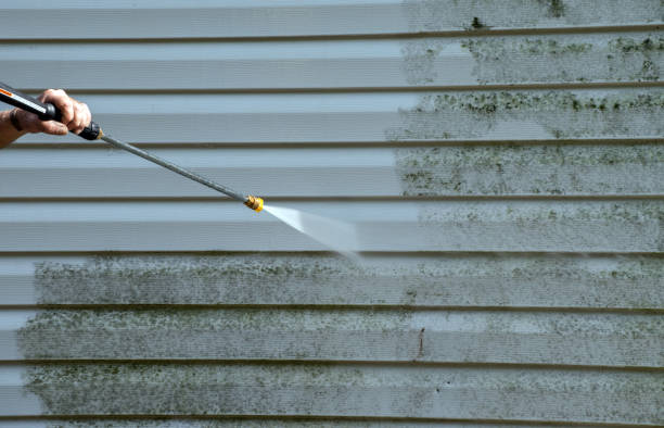 Best Solar Panel Cleaning  in Hlsboro, IL